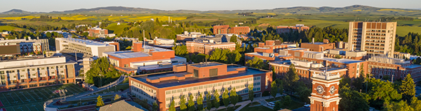 Aerial view of the WSU Pullman campus.
