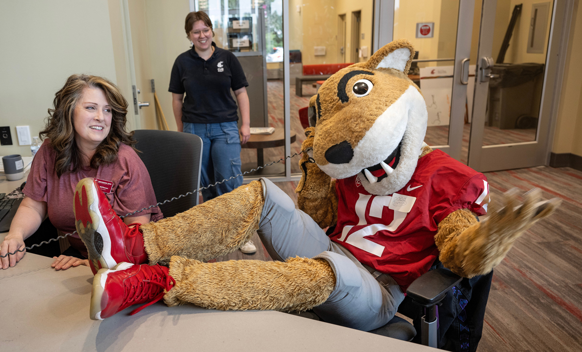Butch T. Cougar holding a phone while lounging at a desk.